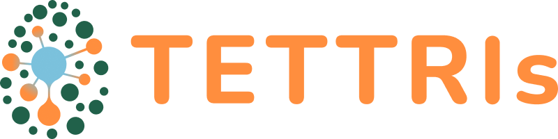 logo tettris